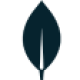 mongodb mongodb